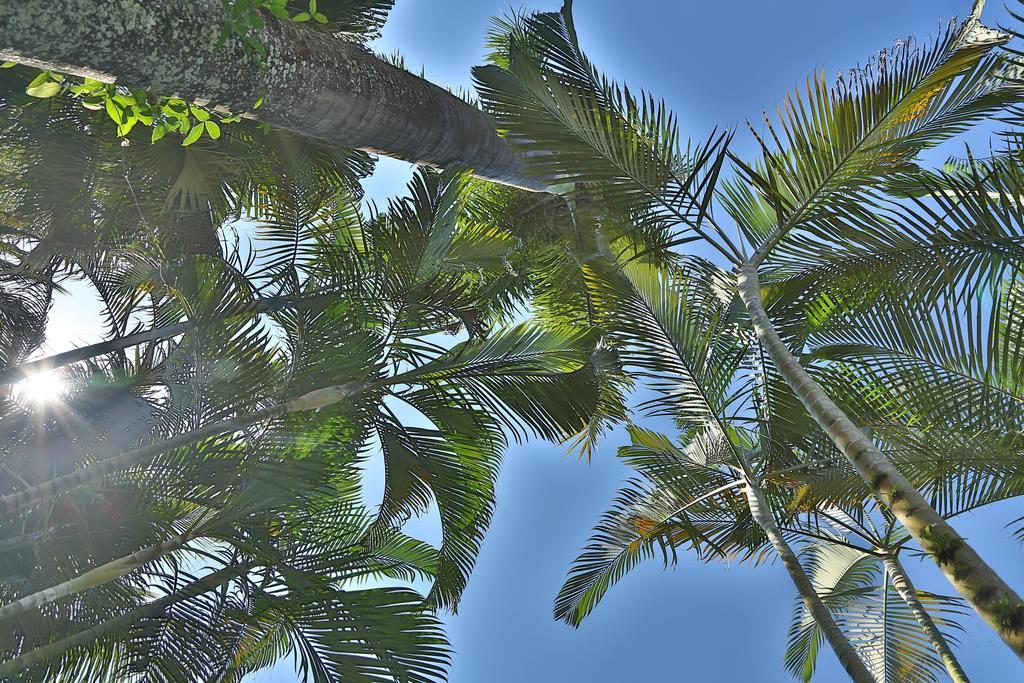 Casa Nostra Boutique Hotel Paraty Exteriér fotografie